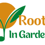 Rachel logo