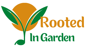 Rooted In Garden