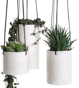 hanging succulent planter indoor
