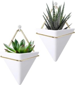 wall hanging succulent planters 