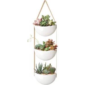 Succulent hanging planter Ideas