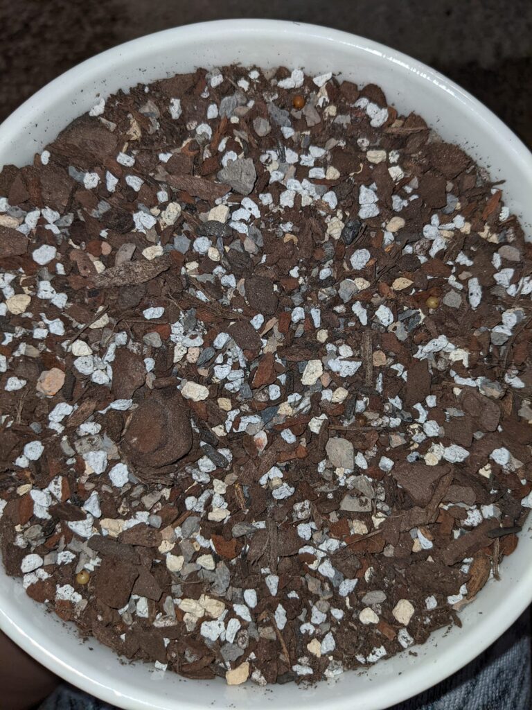 How To Make Your Own Succulent Soil