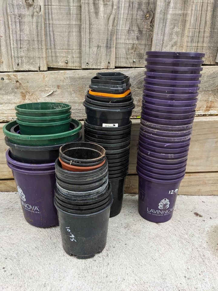 Where to find free containers for gardening near me