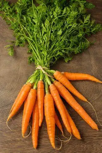 vegetables for container gardening