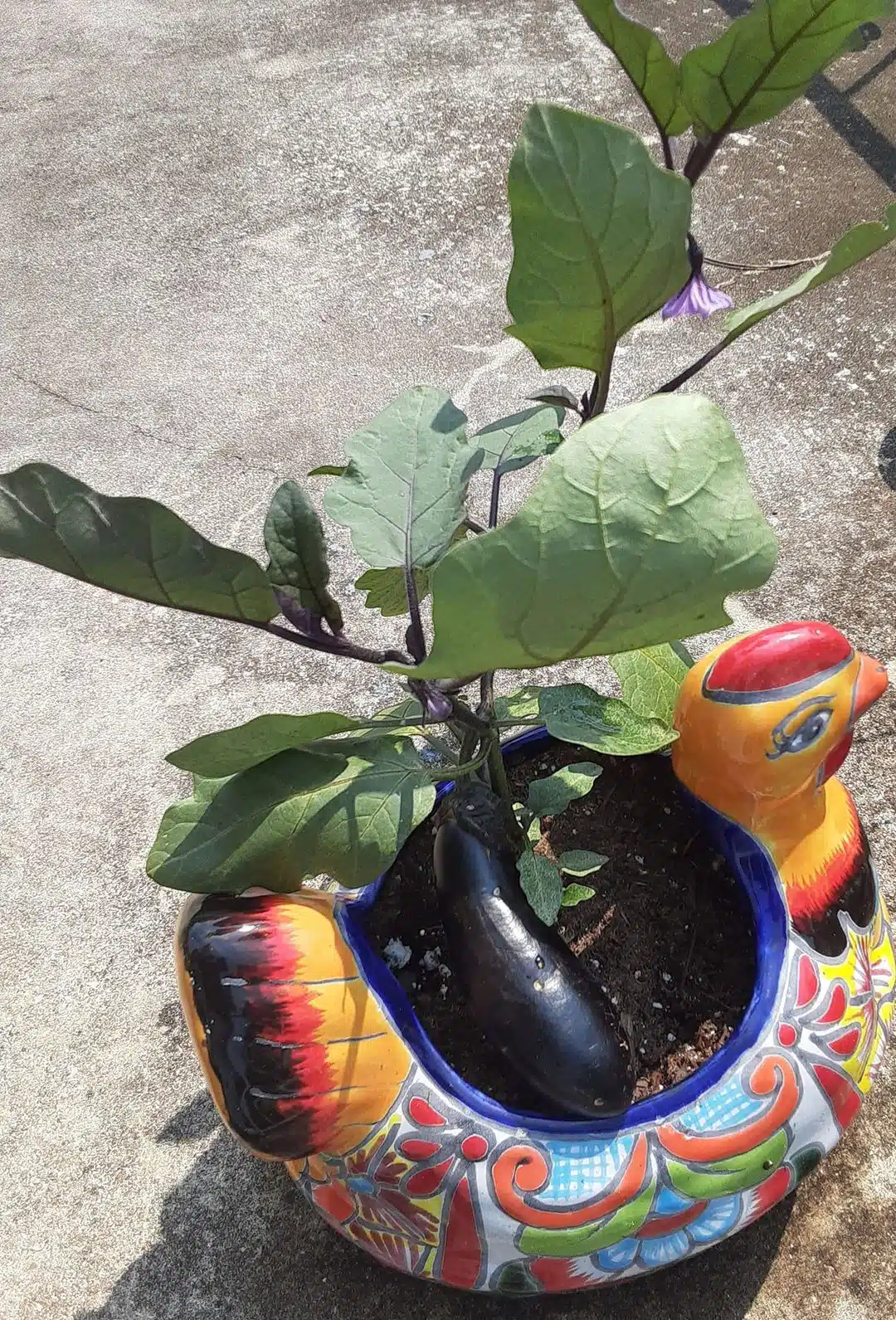 vegetables for container gardening