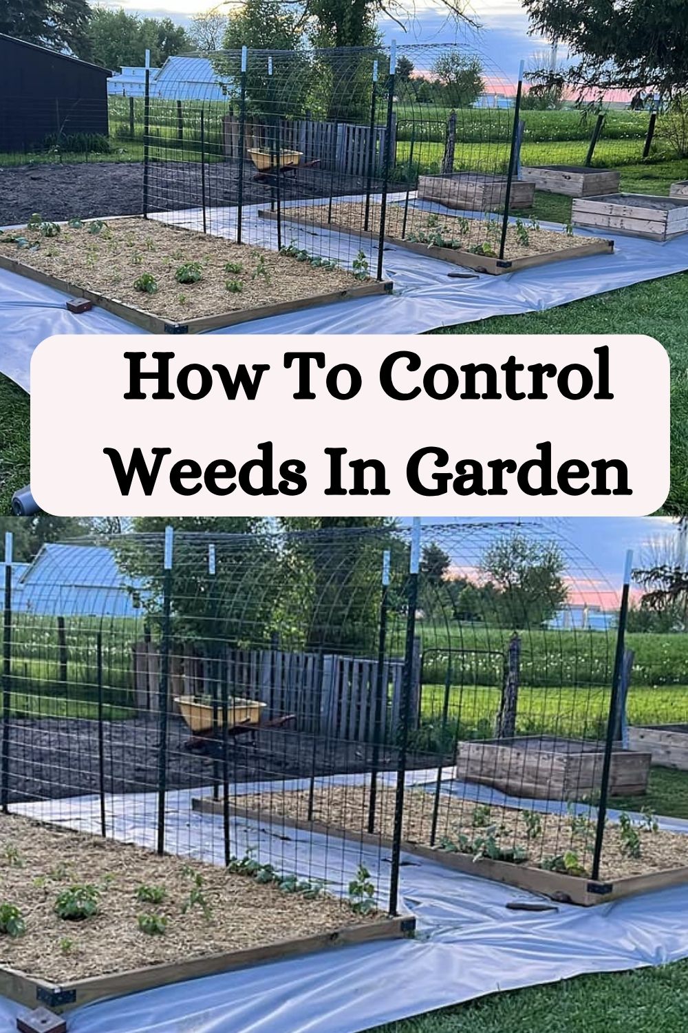 How To Control Weeds In Garden