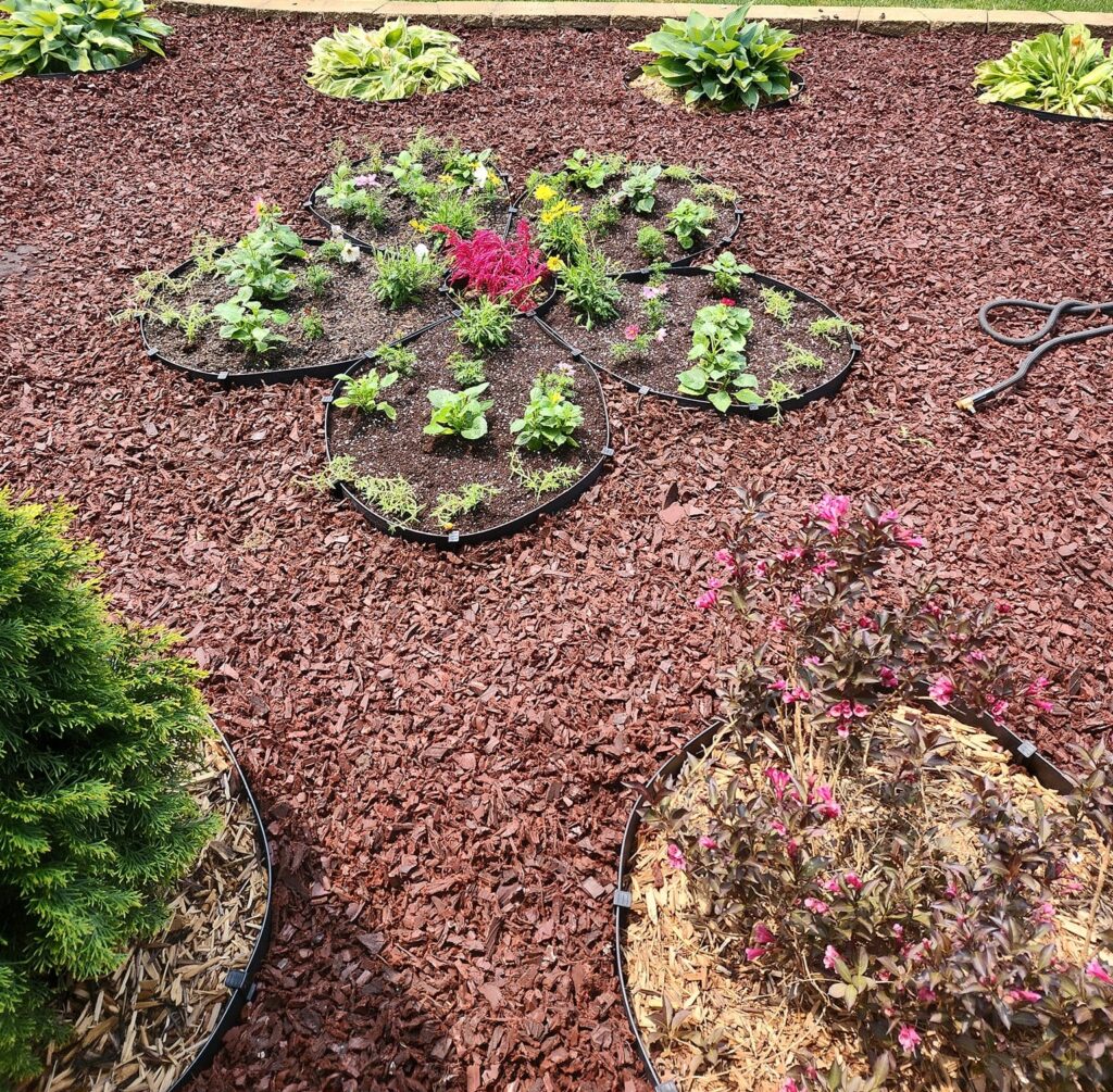 9 Cheapest Ways To Keep Weeds Out Of Garden