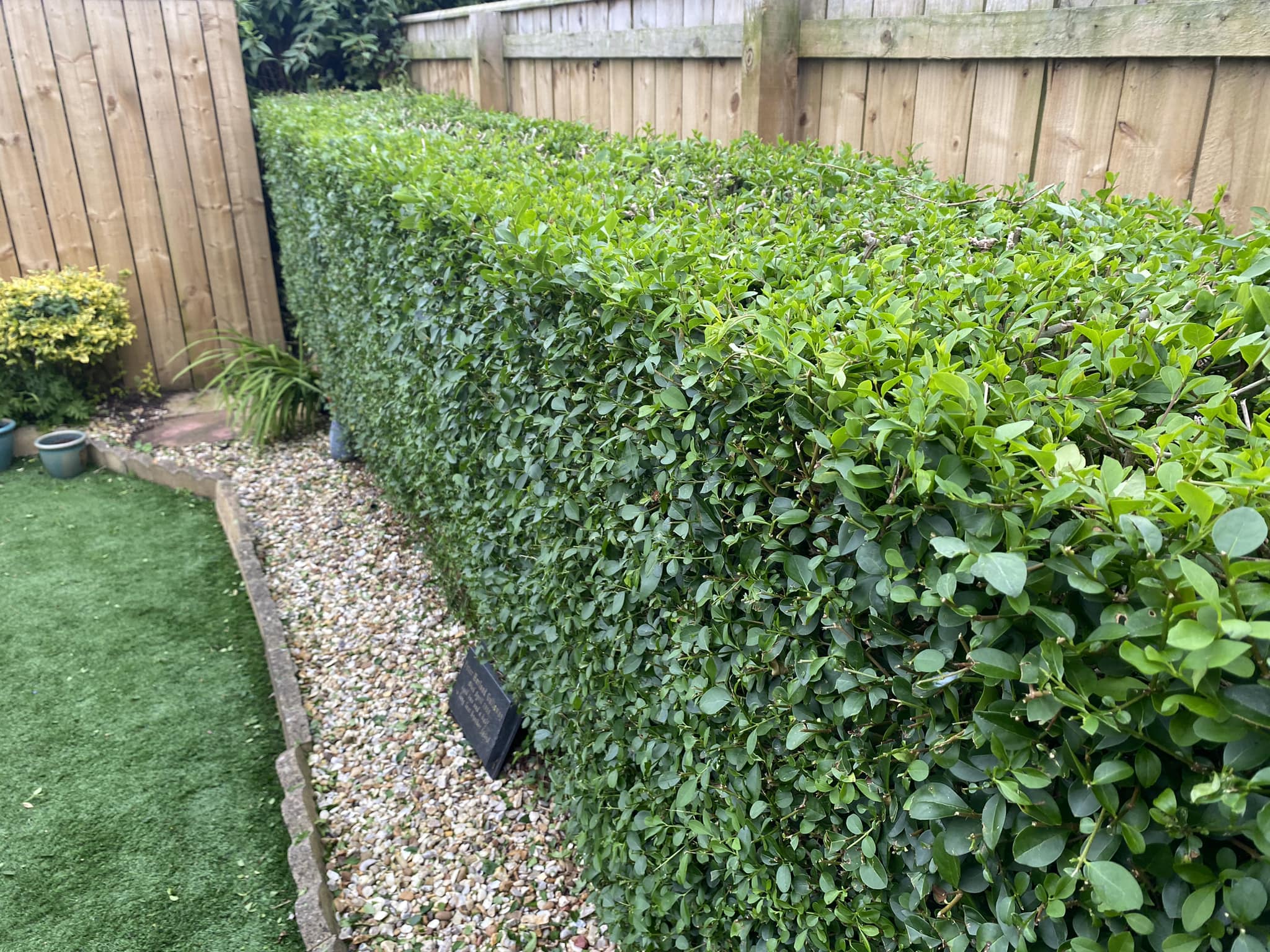 Cheap Garden Fencing Ideas To Keep Animals Out
