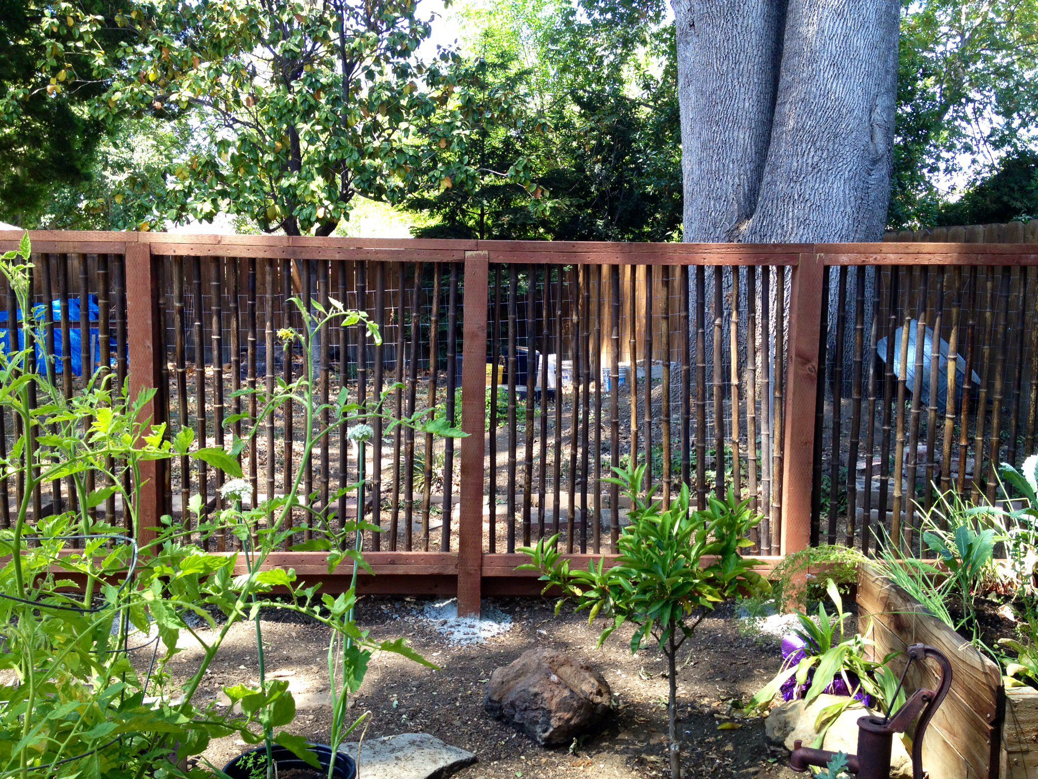 simple garden fence ideas