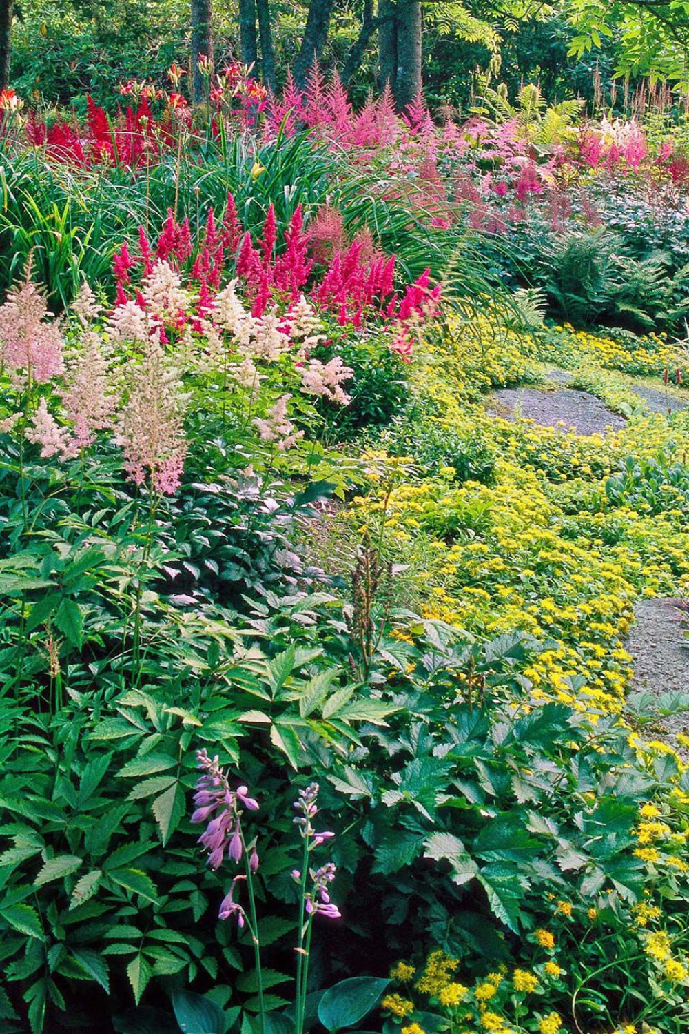 Shade-Loving Perennials