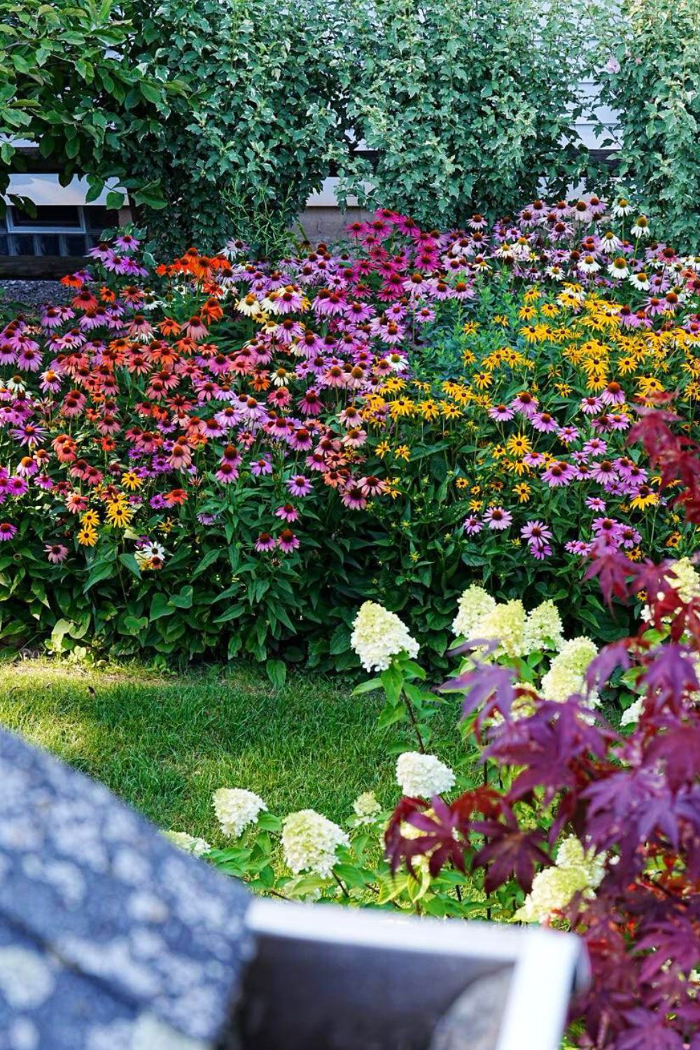 Best perennials to plant in fall for spring