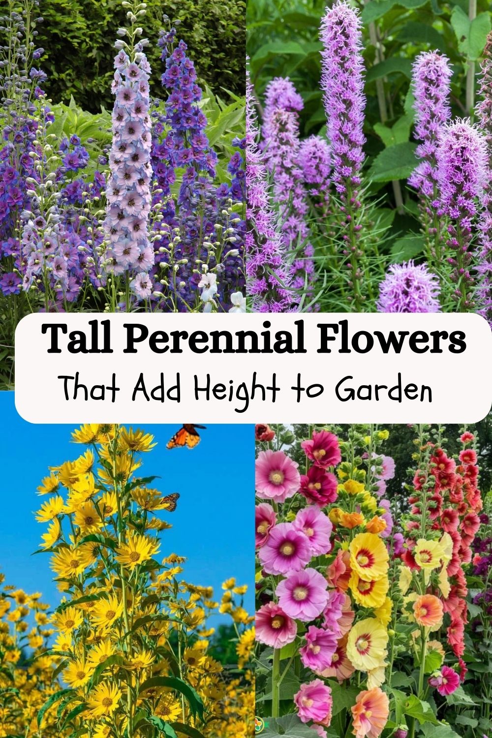 Tall Perennial Flowers That Add Height and Drama to Your Garden